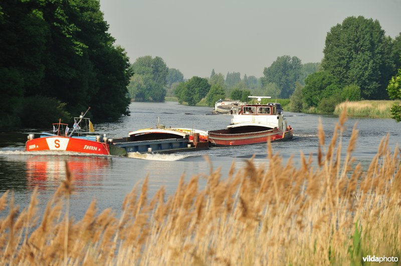 Vrachtboot op de Schelde