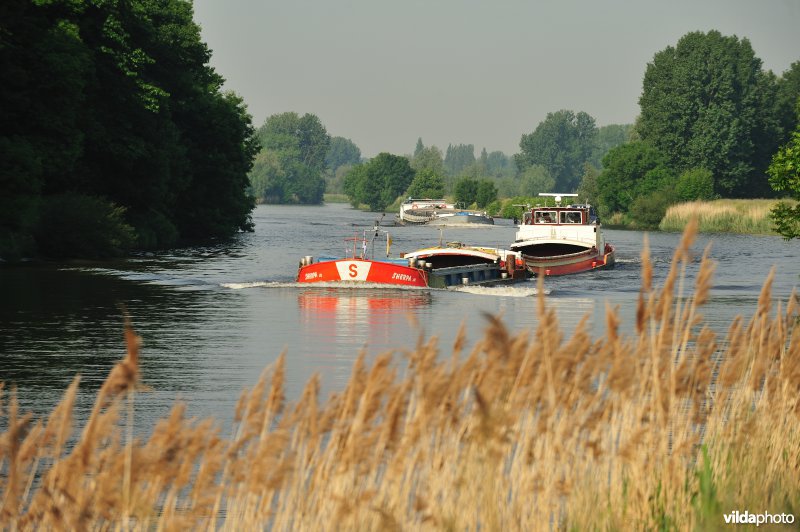 Vrachtboot op de Schelde