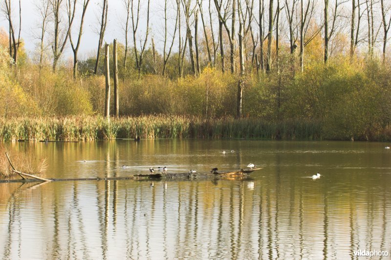 Provinciaal domein Broek De Naeyer