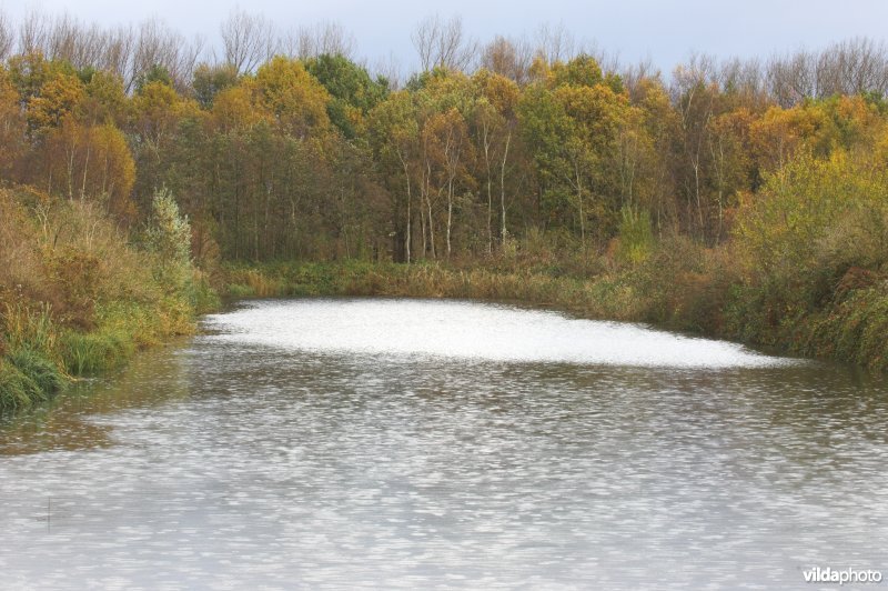 Provinciaal domein Broek De Naeyer