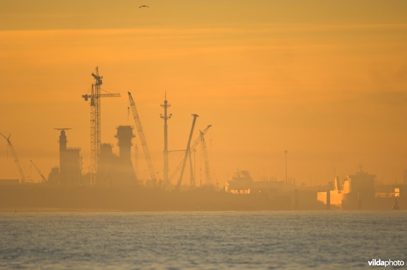 Zicht op Oostende