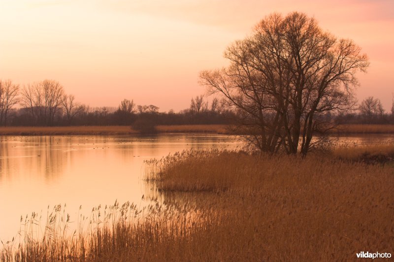 Natuurreservaat De Blankaart