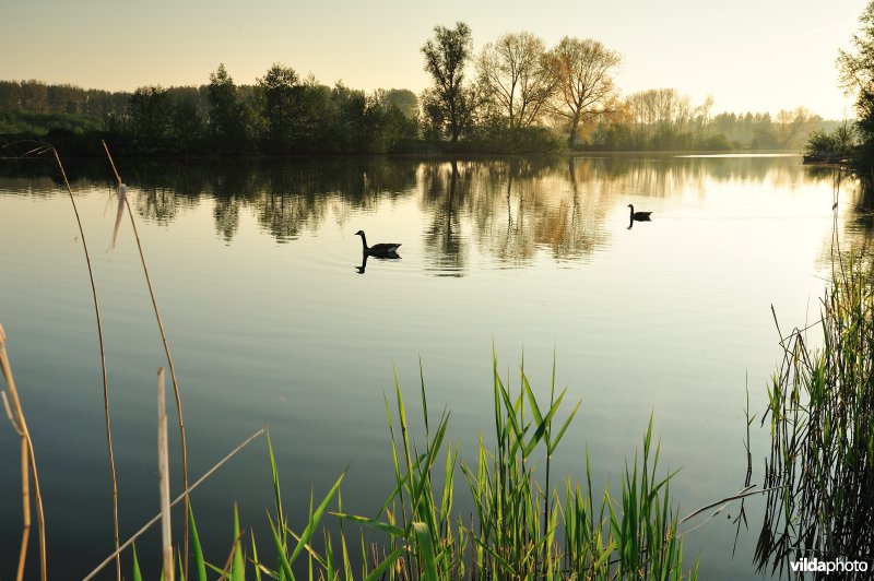 Natuurreservaat Oude Durme