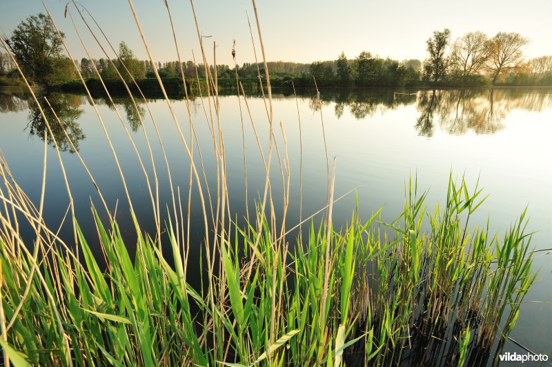 Natuurreservaat Oude Durme