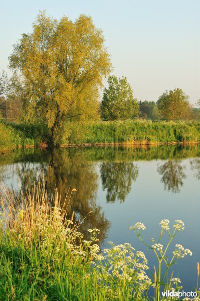 Natuurreservaat Oude Durme