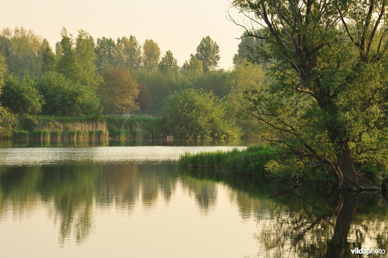 Natuurreservaat Oude Durme