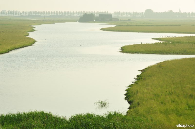 Brakke kreek