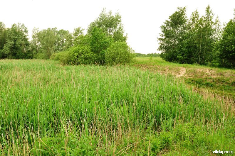 Haasop-Zuidelijke Groenzone