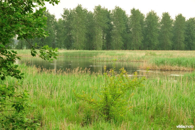 Haasop-Zuidelijke Groenzone