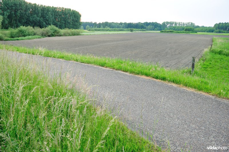 Groot-Broek
