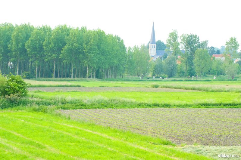 Groot-Broek