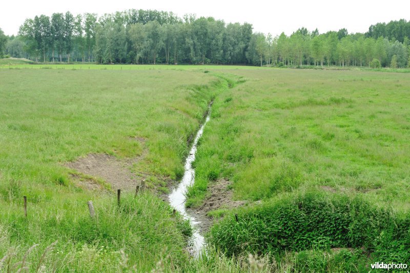 Klein Broek in Temse