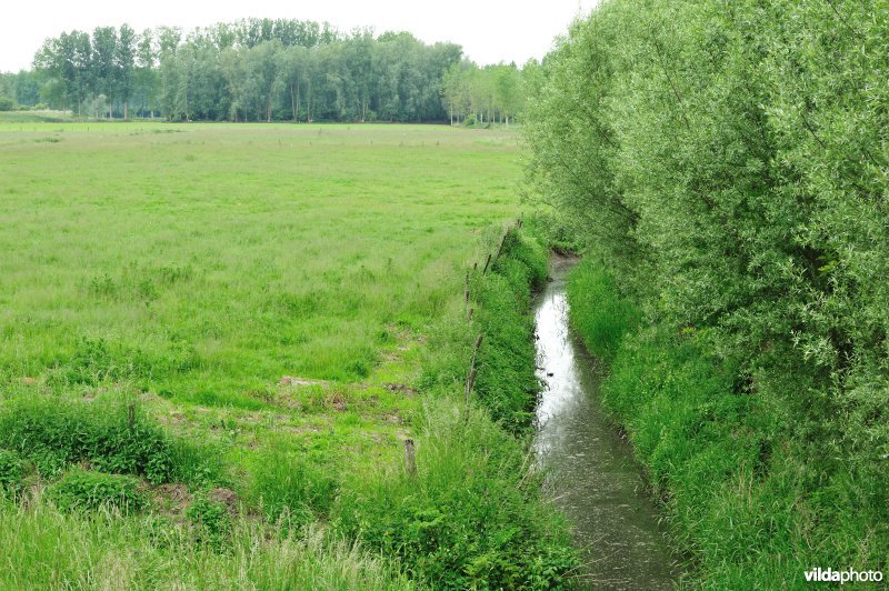 Klein Broek in Temse