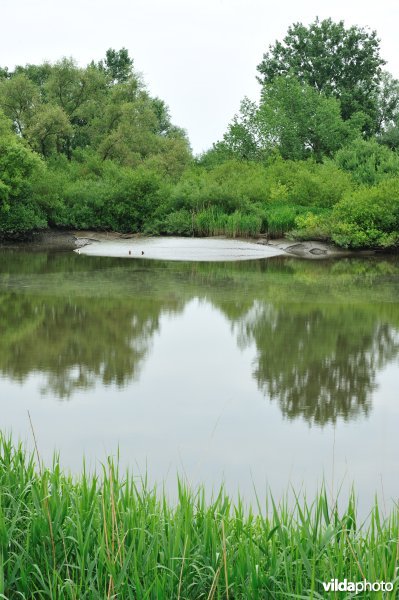 De Durme in Appelsvoorde