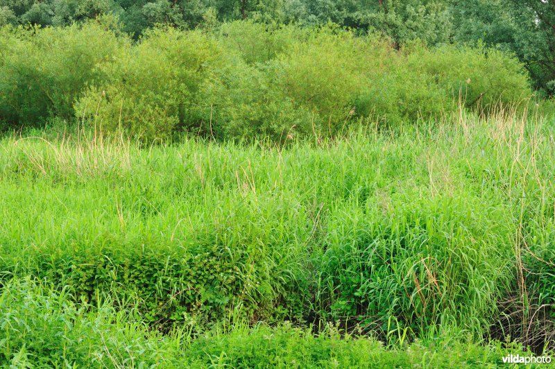 De Durme in Hamme