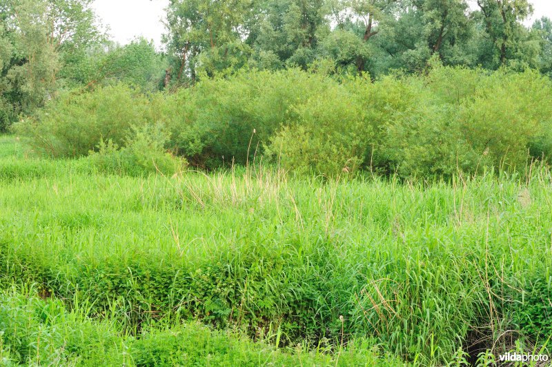 De Durme in Hamme