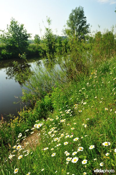 Kalkenvaart