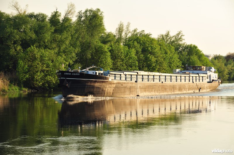 Vrachtboot op de Schelde