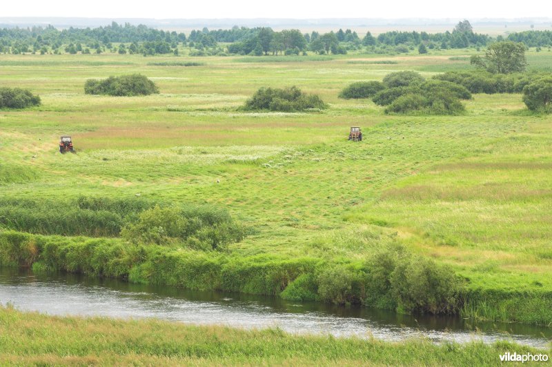 Vallei van de Biebrza