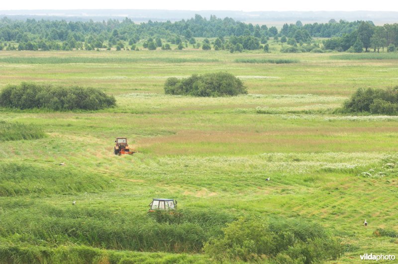 Vallei van de Biebrza