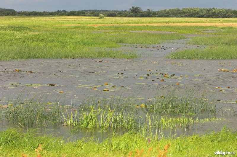 Vallei van de Biebrza