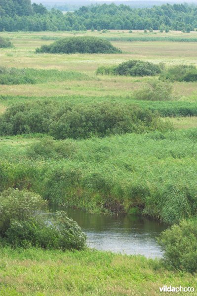 Vallei van de Biebrza