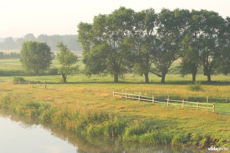 De Narew rivier