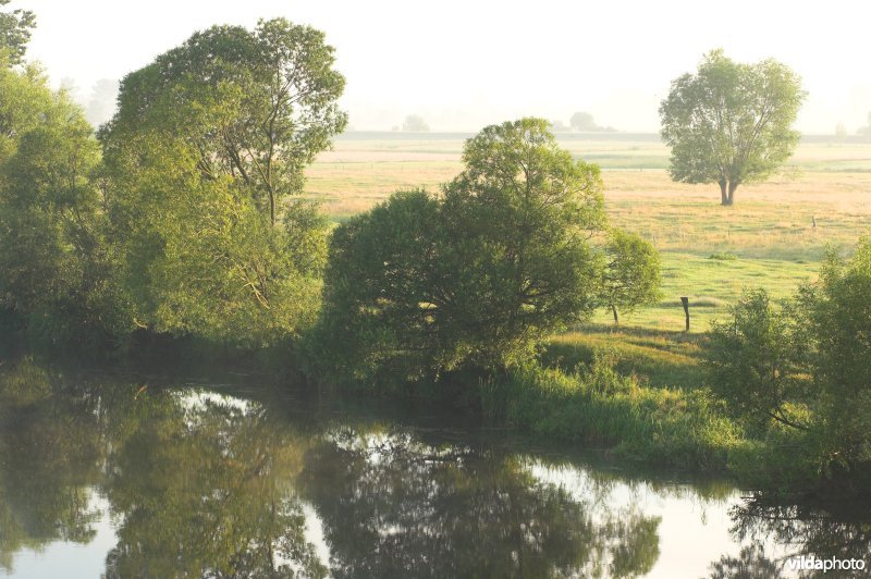 De Narew rivier