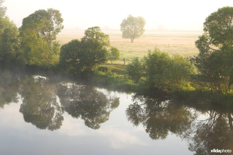 De Narew rivier