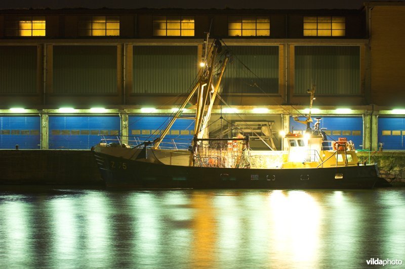 De vissershaven van Oostende