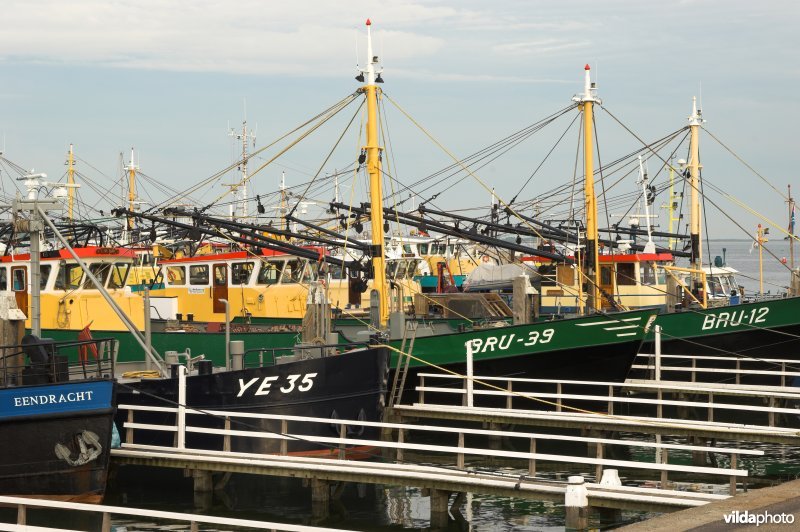 De haven van Bruinisse