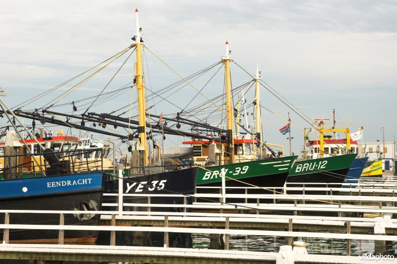 De haven van Bruinisse