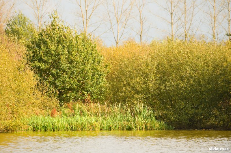 Natuurreservaat Vierkensbroek in de herfst