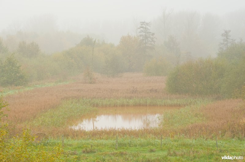 Natuurreservaat Demerbroeken