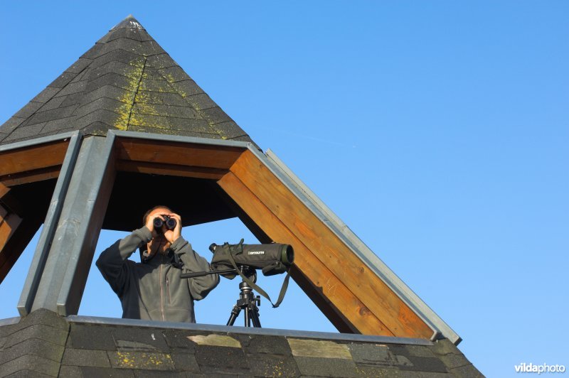 Vogelkijktoren