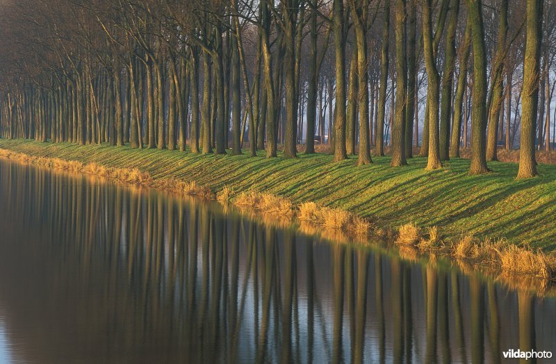 Kanaal in Damme