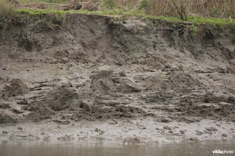 Erosie op Scheldeoevers