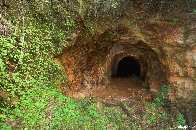 Vleermuizengrot