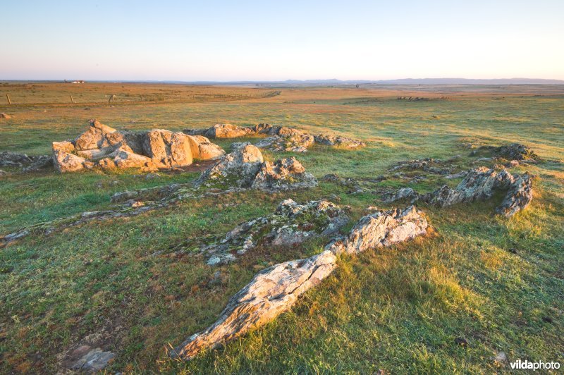 Steppe van Belèn