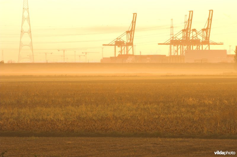 Zeehaven van Antwerpen