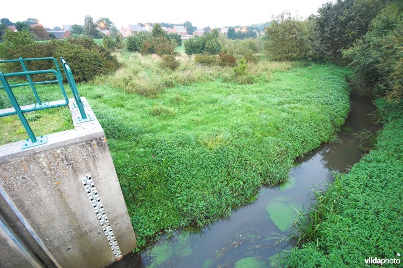 Wachtbekken aan de Dommel