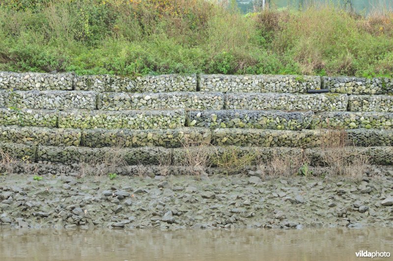 Steenstort op de Schelde oever