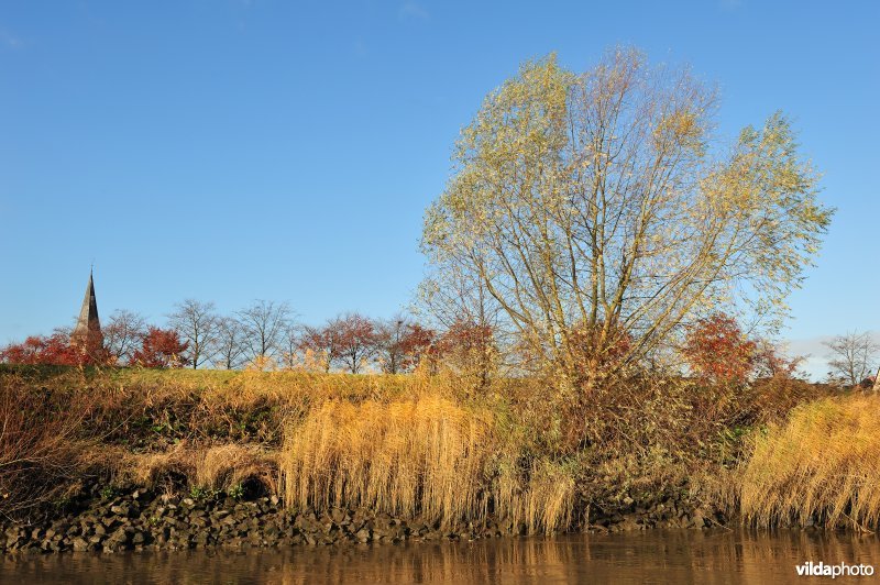 Steenstort op de Schelde oever