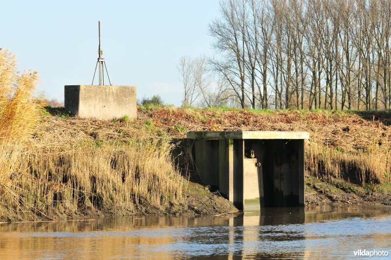 Overstort op de Schelde