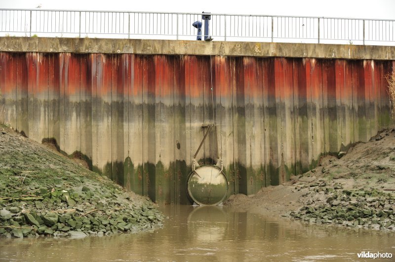 Overstort op de Schelde