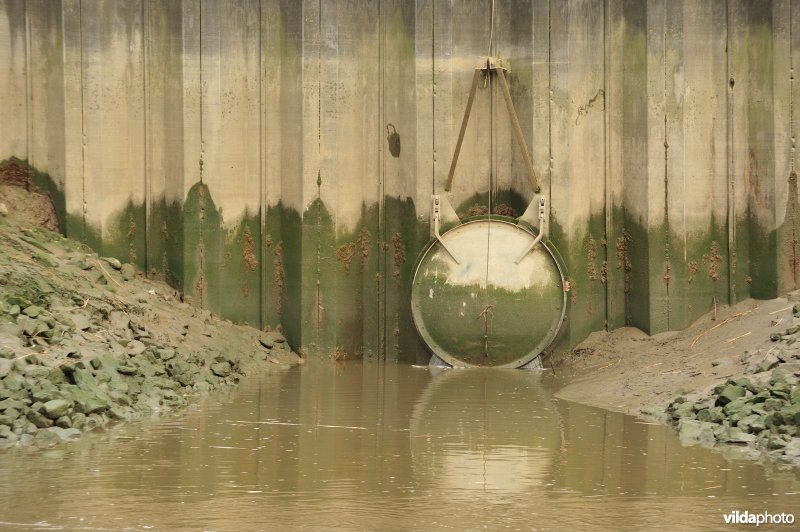 Overstort op de Schelde