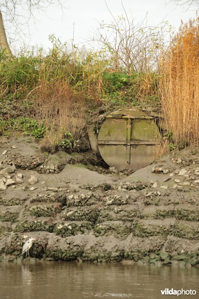 Overstort op de Schelde