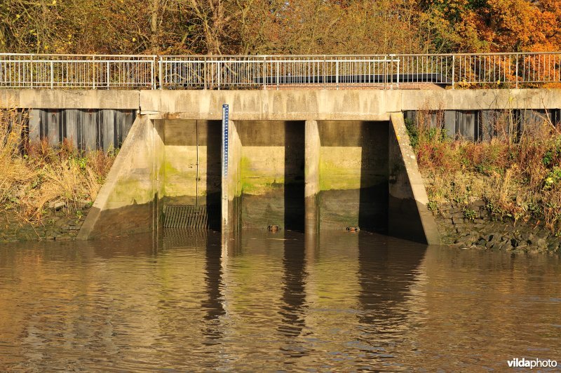 Overstort op de Schelde