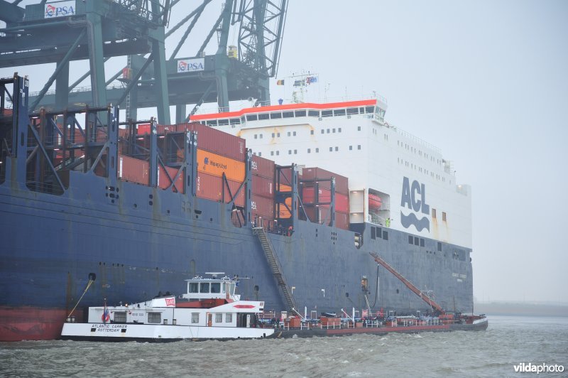 Haven van Antwerpen