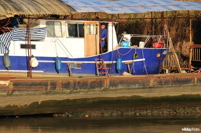 Plezierbootje op de Schelde